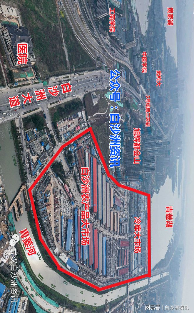 白沙洲最新规划，城市发展的辩论舞台