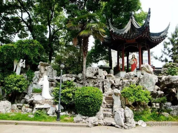 小巷深处的独特惊喜，PP最新价格与动态报告