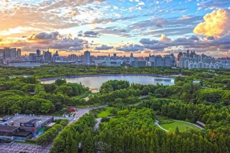 最新电影网站，探寻自然美景，寻觅内心平和之旅