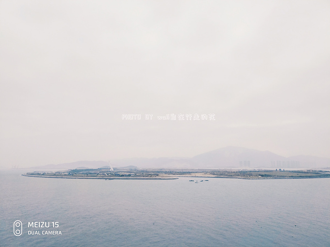 漳州港最新动态，日常故事与温馨港口之旅