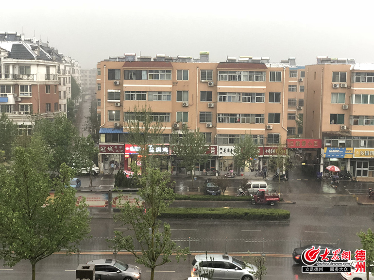 德州最新天气探索，小巷中的惊喜特色小店