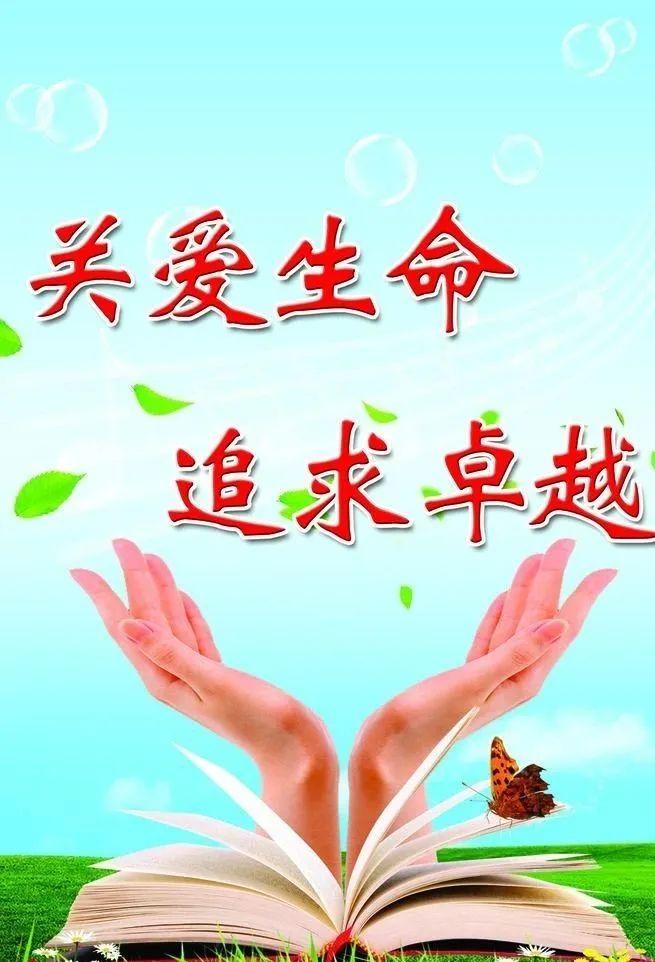时事评论最新动态，深度解析背景、事件与影响