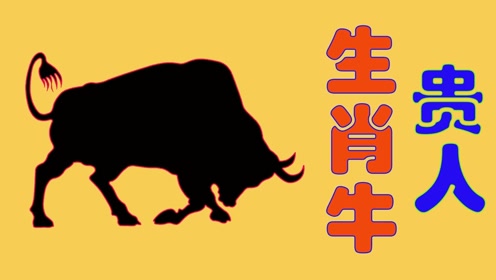 牛不啦最新视频