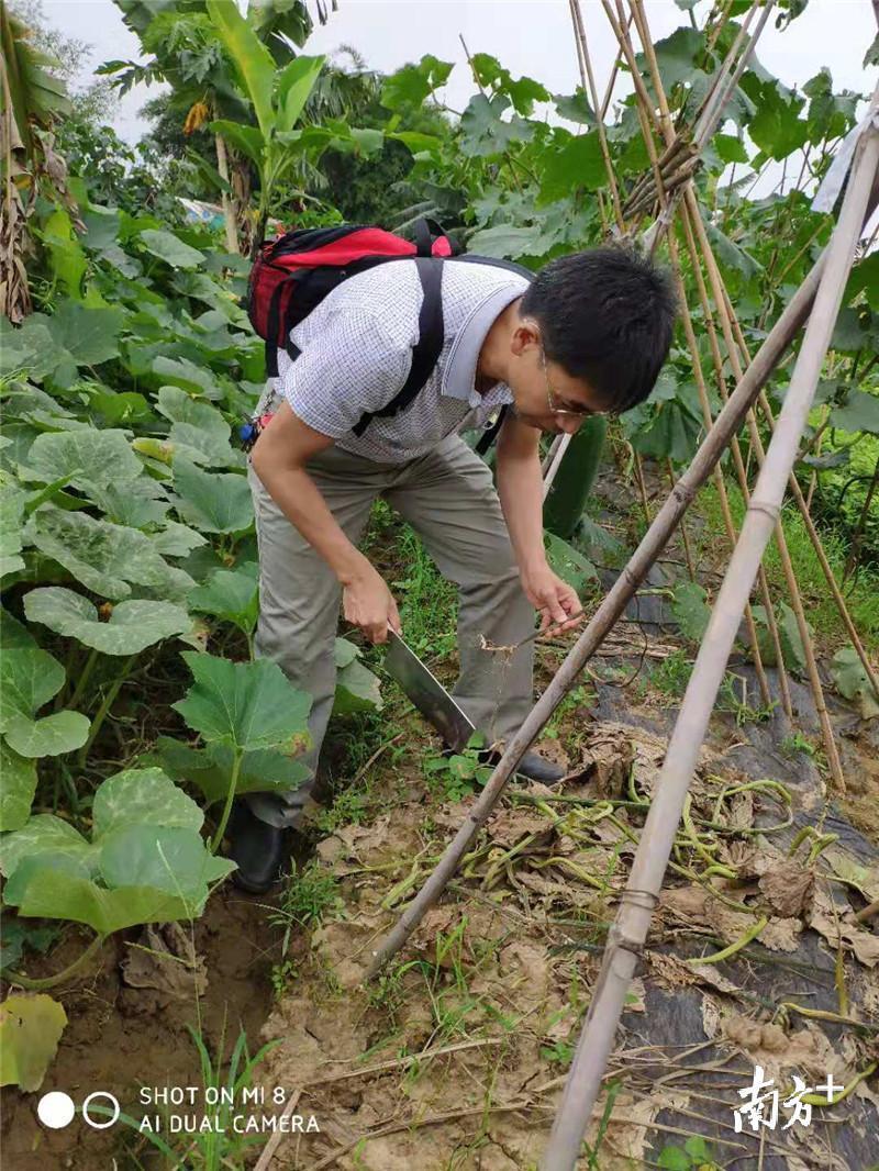 哈弗最新SUV探索之旅，小巷中的隐藏之宝