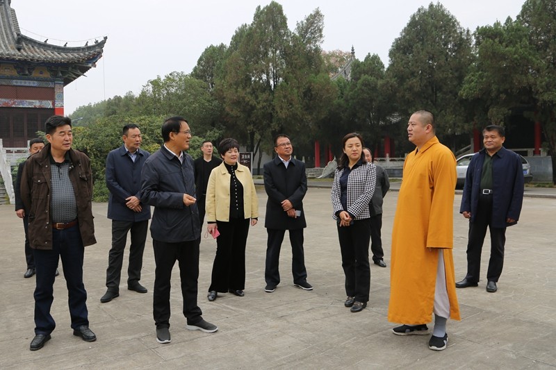 陈赫最新动态，技能提升与任务完成指南