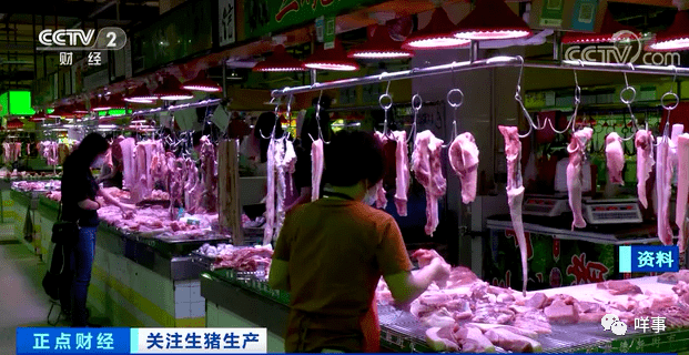 猪肉时代波动与最新价格动态分析