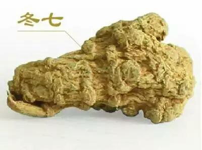 三七最新价格,三七最新价格分析