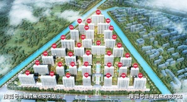黄芪最新价格探讨与分析，一种观点的深度剖析