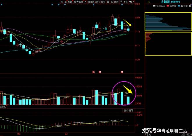 澳门今晚开特马+开奖结果走势图，统计解答解释定义_AR版63.84.23