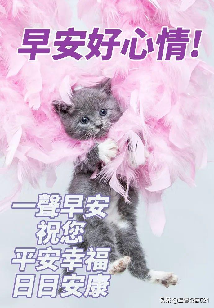 温馨启示