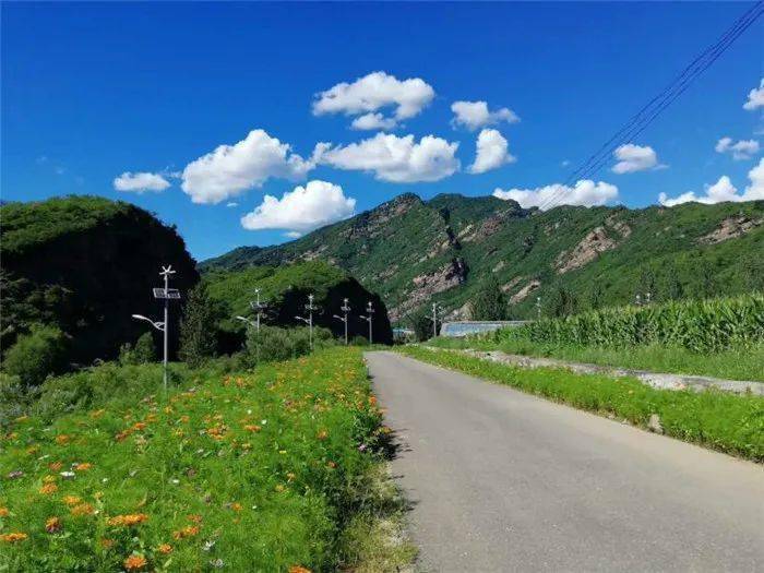 最新三级，自然美景探索之旅，寻找内心的平和与喜悦