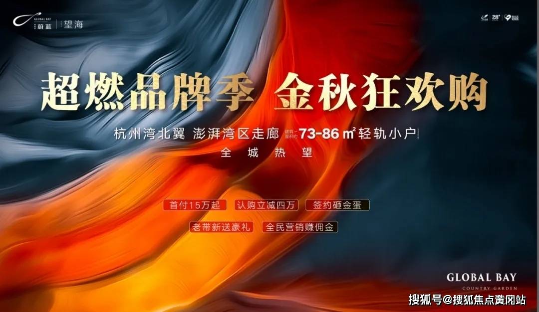 定州最新限号措施详解，观点阐述与分析