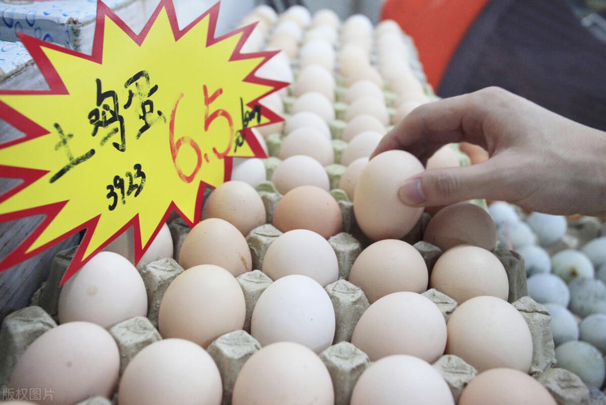今日鸡蛋最新价格新鲜出炉！🥚