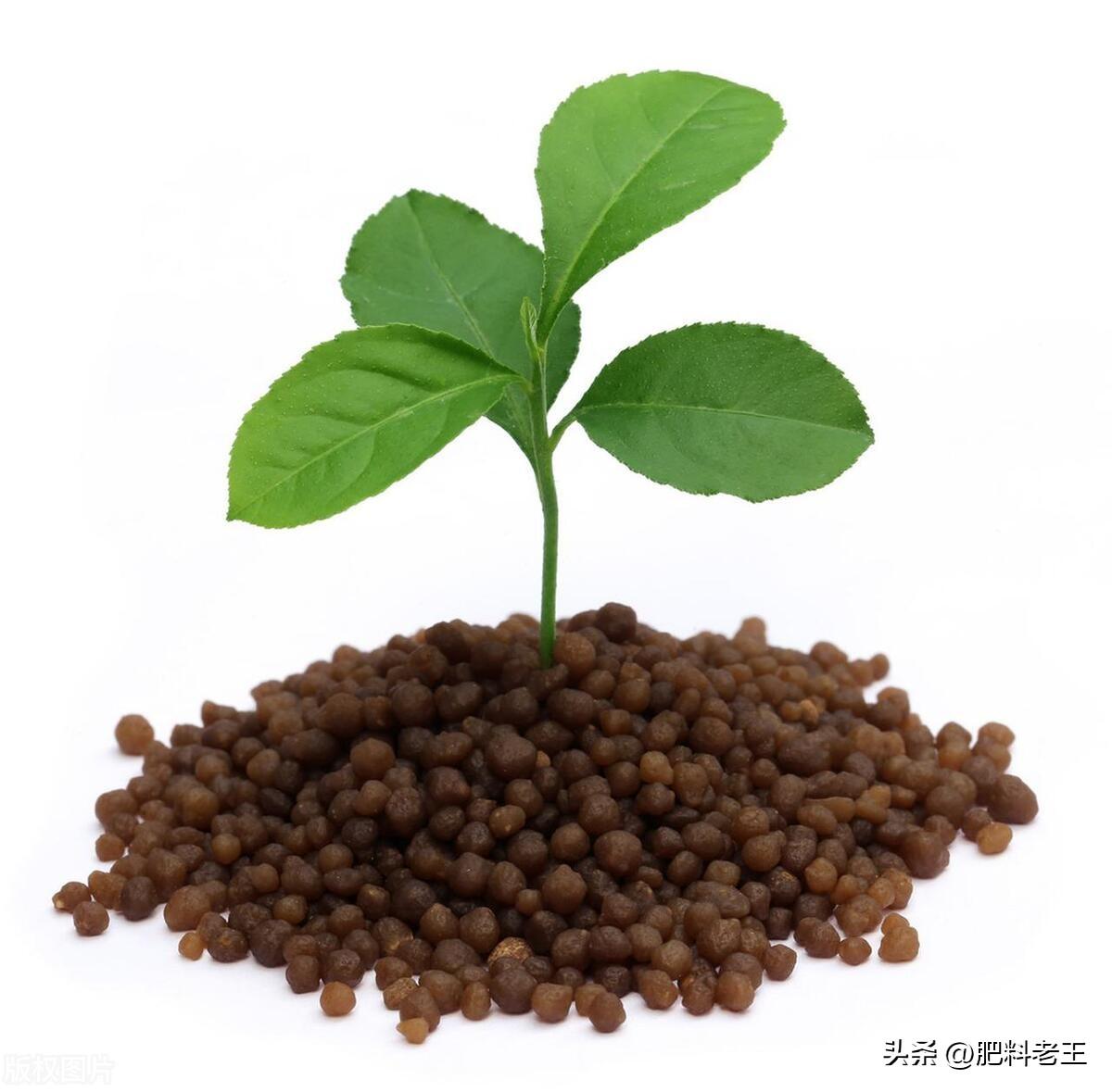 磷矿石最新价格动态，背景、影响与地位分析