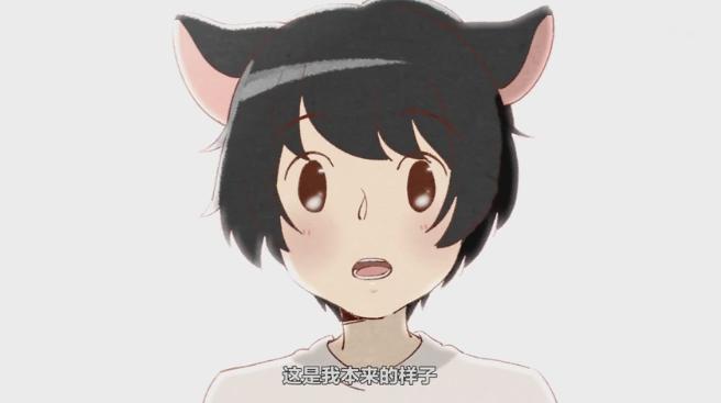 动漫之家最新更新，温馨日常趣事回顾