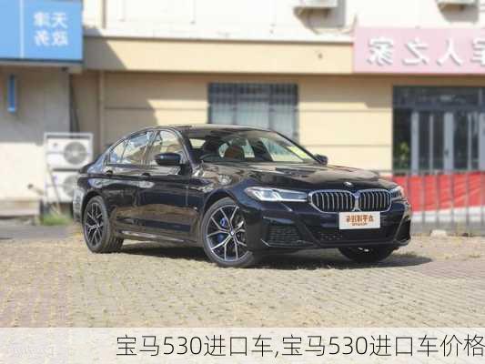 进口宝马530Li最新价格与探寻自然美景之旅
