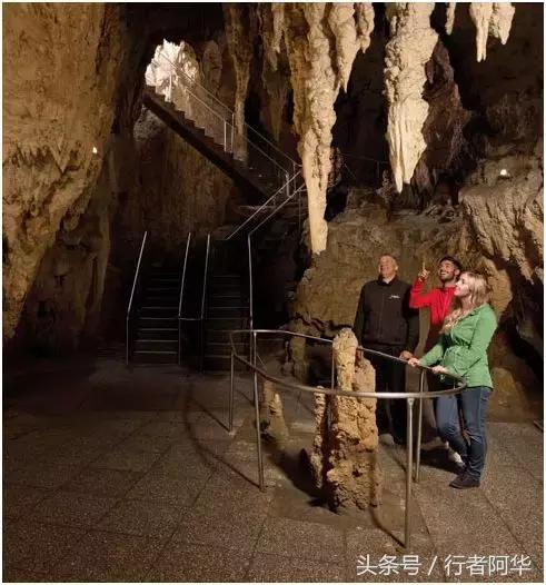 你的爱如星光，在知识的海洋中熠熠生辉