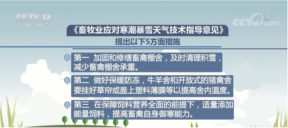掌握最新落马技能，全面步骤指南助你顺利起步
