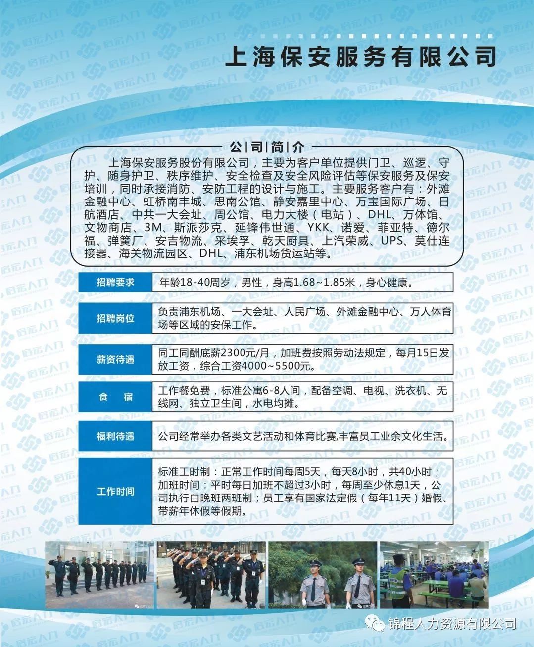 新郑网最新招聘信息详解，观点阐述与分析