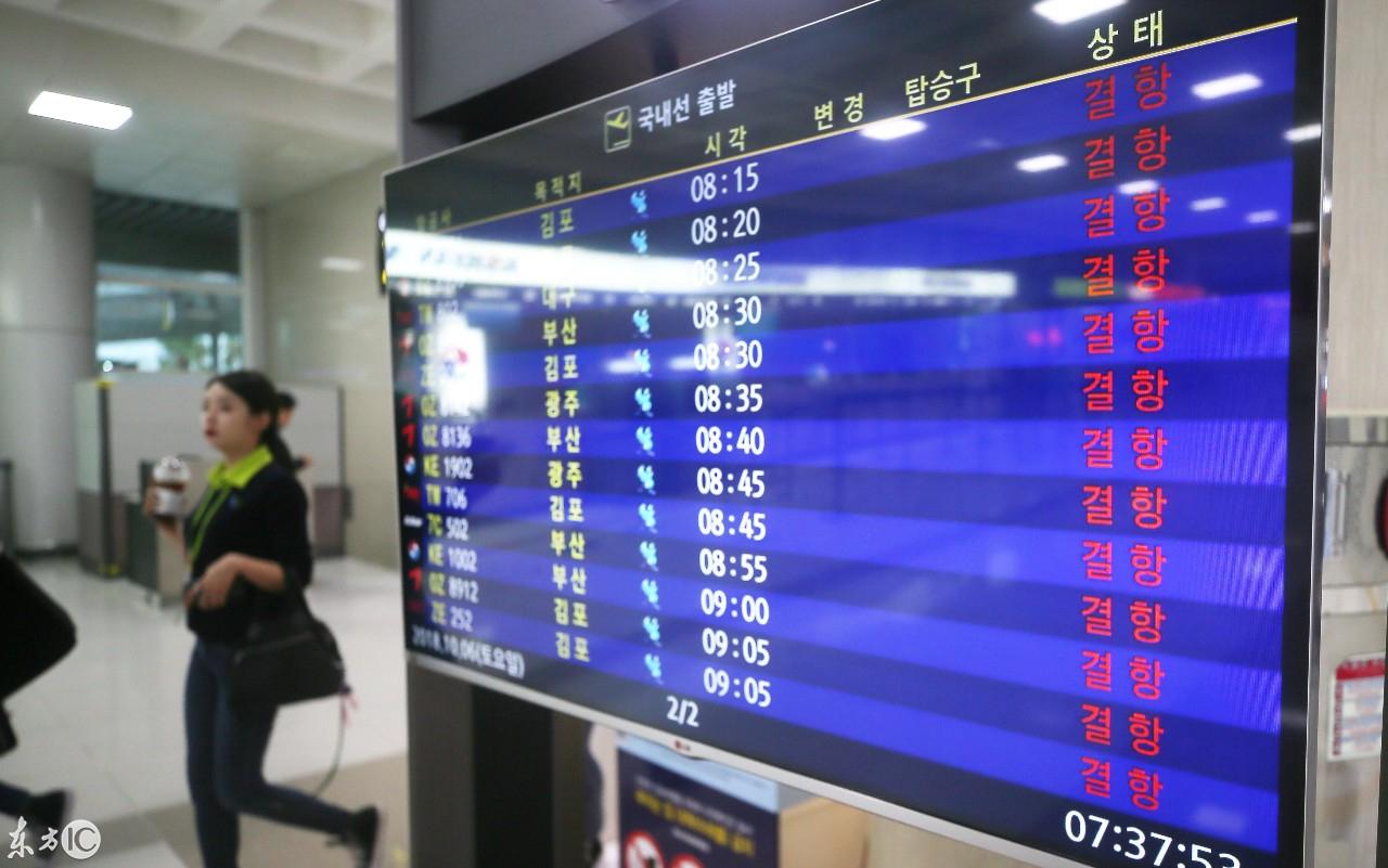 韩国济州岛台风最新动态与背后的励志故事