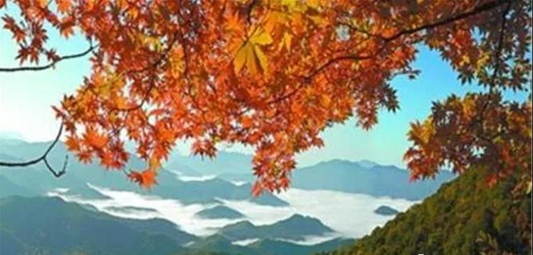 自然美景探索之旅，最新台之旅