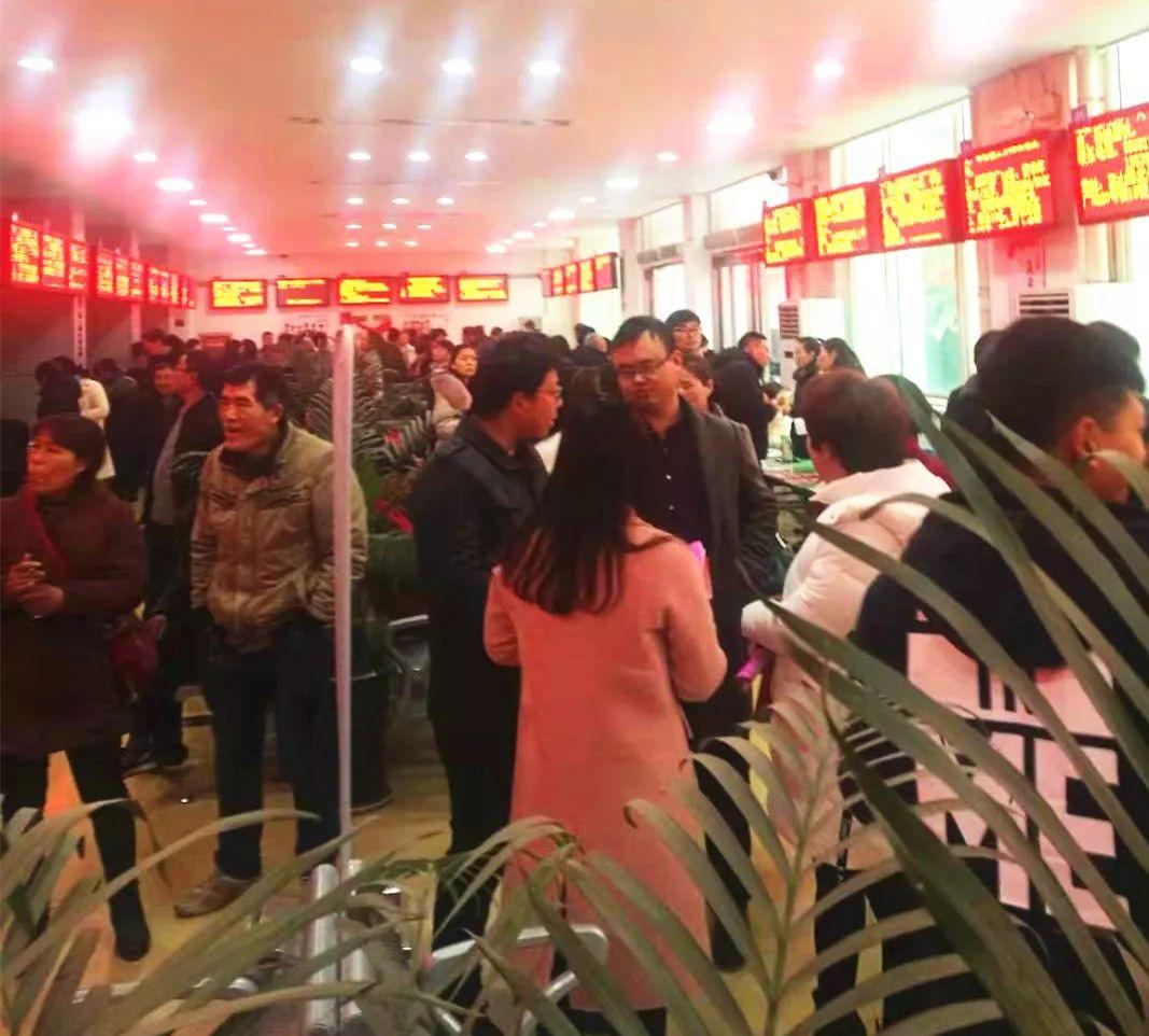 漯河最新招聘信息，开启一段温馨有趣的求职之旅