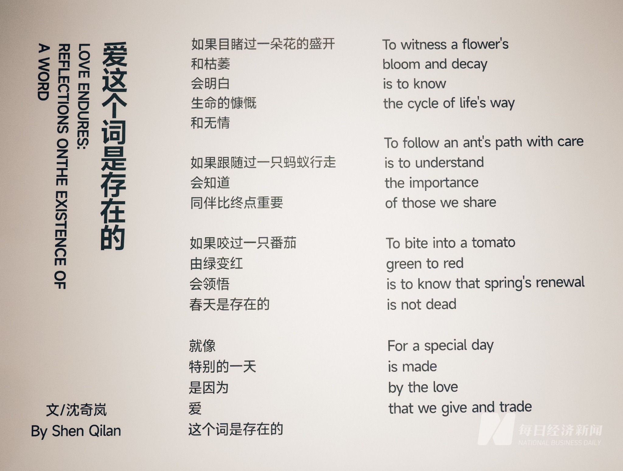 探索自然美景的治愈之旅，最新网址带你启程寻找内心平和之地