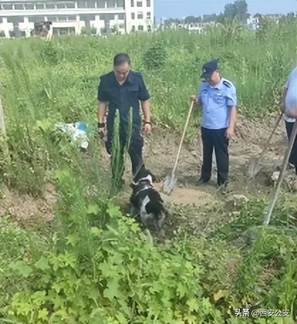 湖北公安最新动态报道