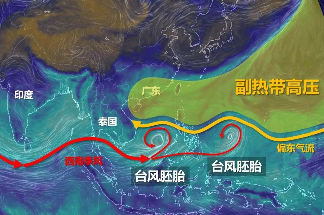热带低压最新动向详解，全面步骤指南
