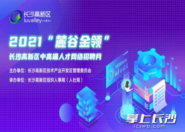 多维度视角下的长沙麓谷最新招聘信息深度探析