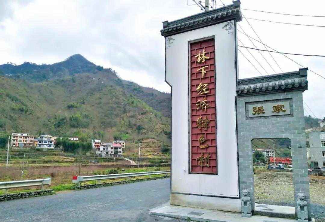 覆盘子最新价格，科技与生活交汇的前沿魅力