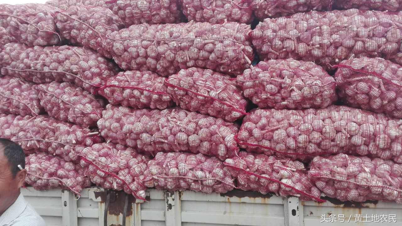 市场走势与影响因素分析
