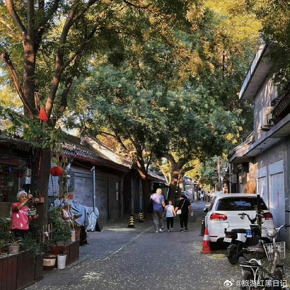 探寻小巷独特风味，最新京津冀唐山定位解析