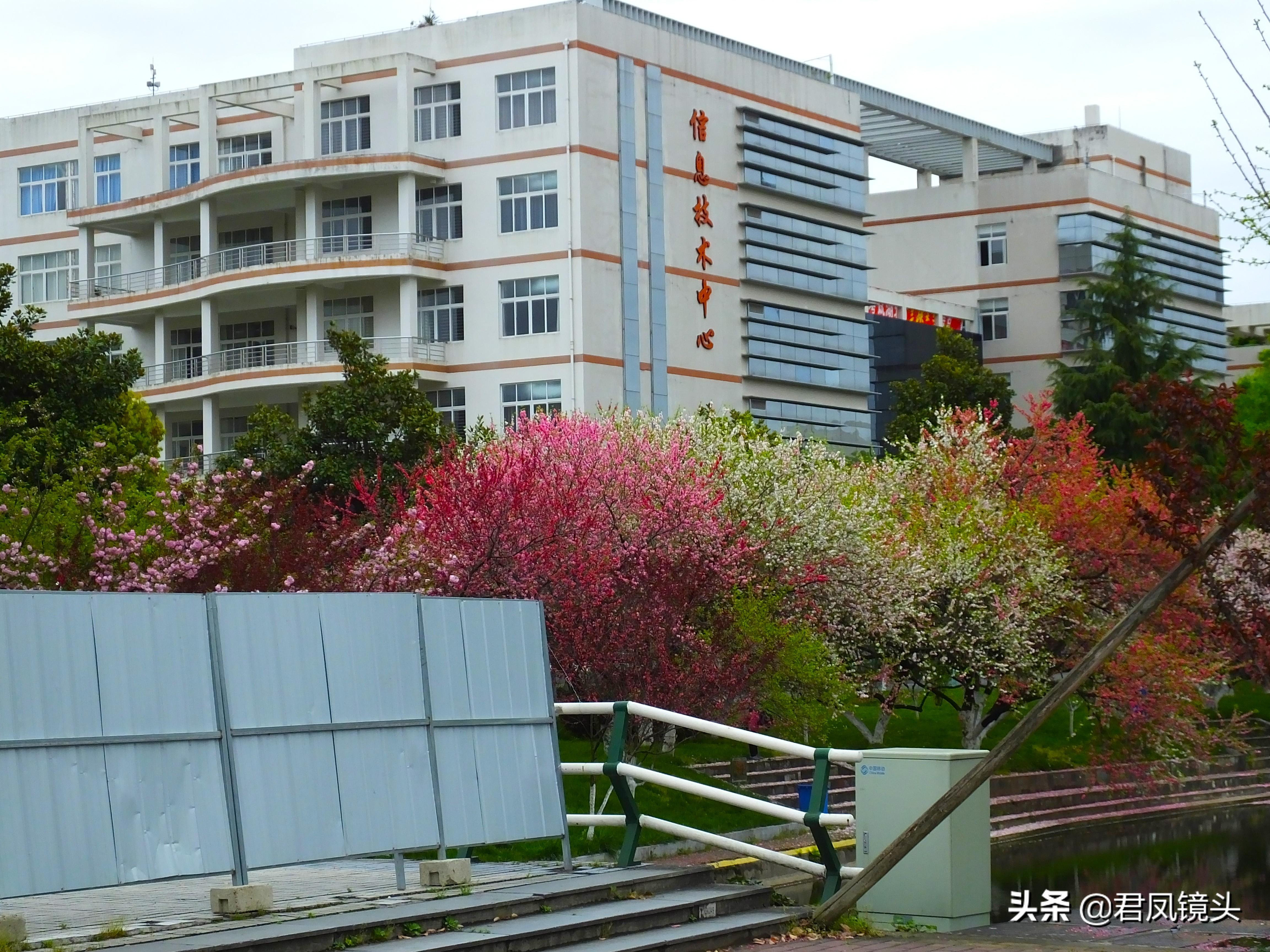 山东疫情最新消息与探索自然美景之旅
