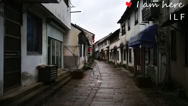 任海旺最新动态揭秘，小巷深处的独特风味探秘之旅