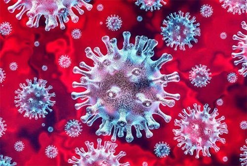 全球冠状病毒最新动态与全面步骤指南