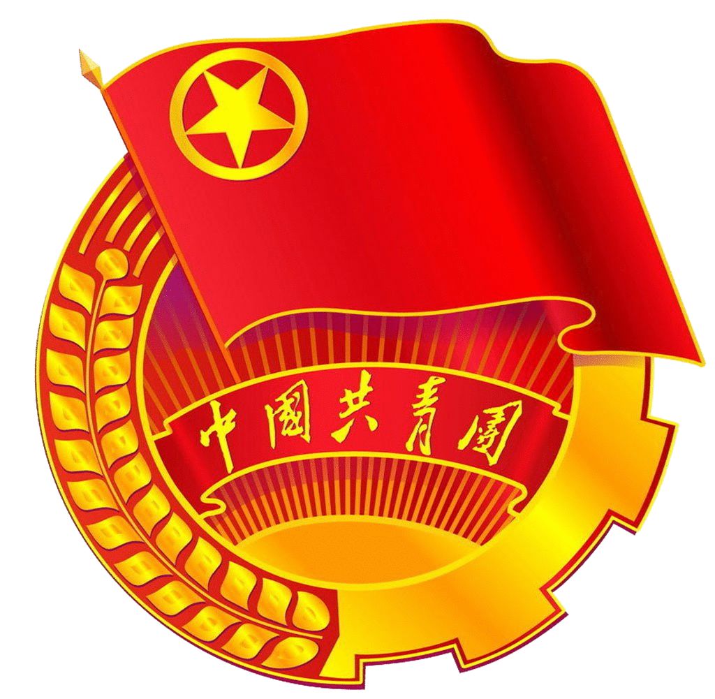 团徽最新款，变化的力量，自信的征程之路