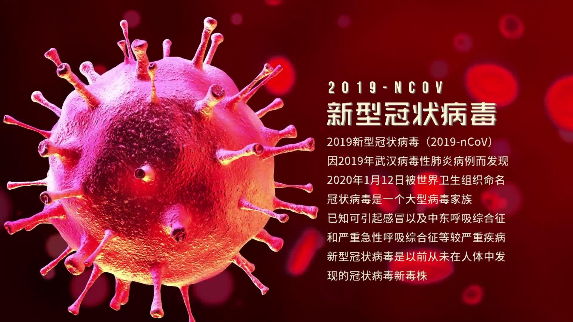 🌟冠状肺炎病毒最新动态概况🌟