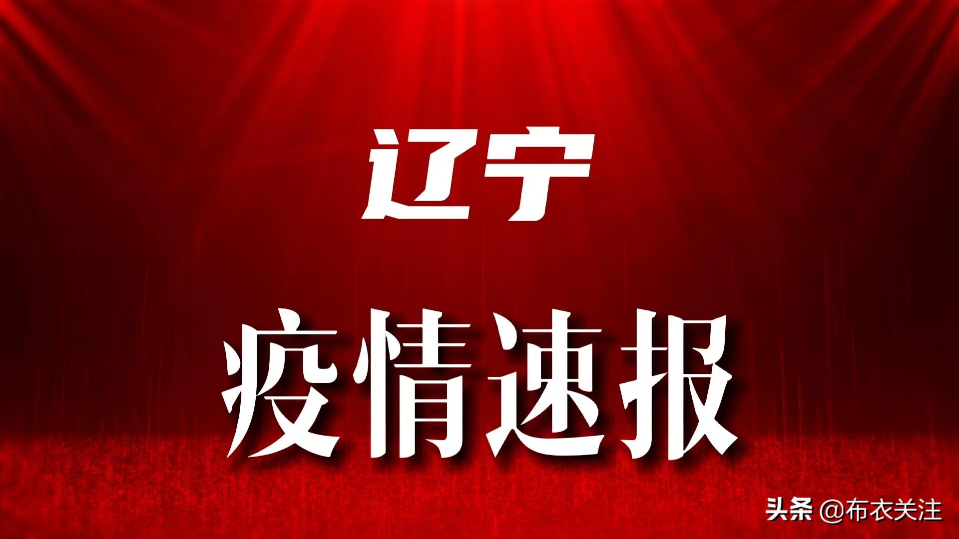 辽宁最新疫情实时报道概况