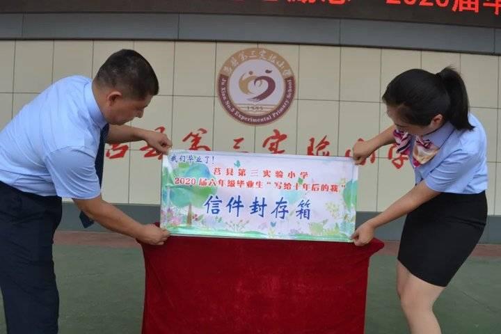 新能源车品牌最新动态，励志之旅驶向未来