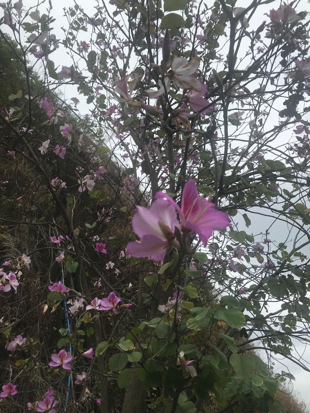 立式防爆振动电机 第245页