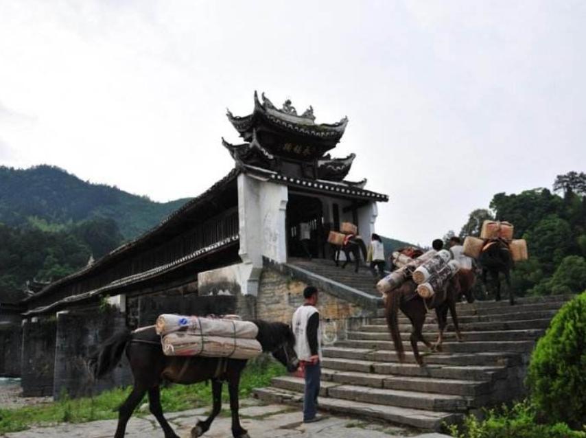 梅山黑茶上市,梅山黑茶上市，市场机遇与挑战并存