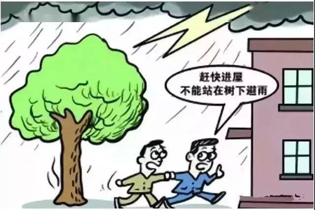 小明开启奇妙学习之旅，探索行情的奥秘