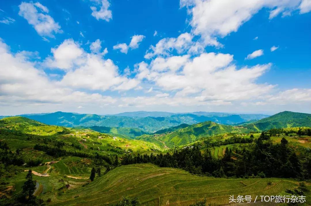 佛山奇美电子最新职位招聘探秘，小巷中的职场宝藏等你来发掘！