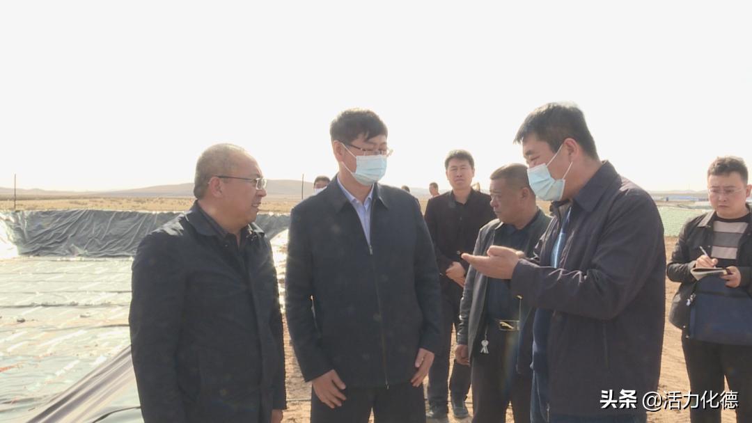 最新养猪场招聘夫妻工，共创农牧业新篇章，携手开启幸福生活之旅