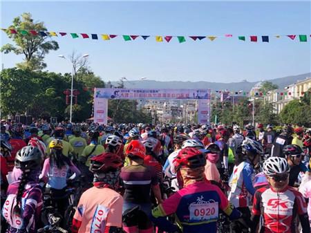自行车比赛跑错路，一场别样的速度与激情挑战