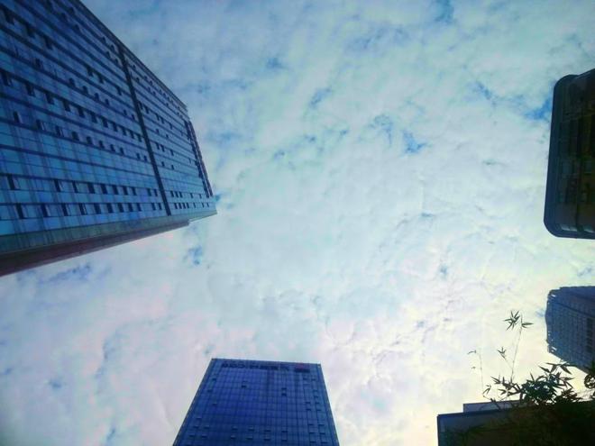 绿城集团股票，时代印记与地产界的璀璨明星