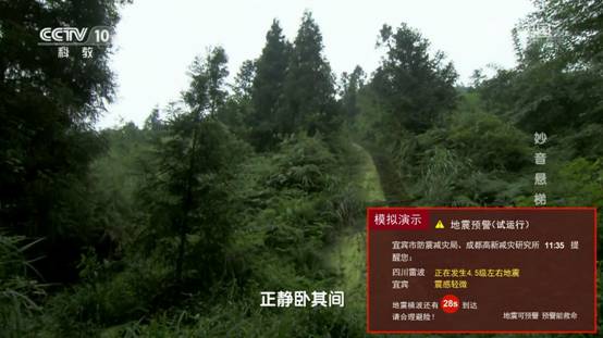 科技守护生命，智能预警重塑未来，最新地震动态报告