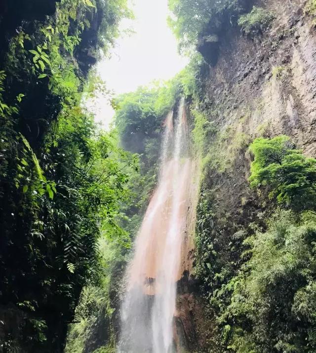 杉杉来了演员表及自然美景探寻之旅介绍