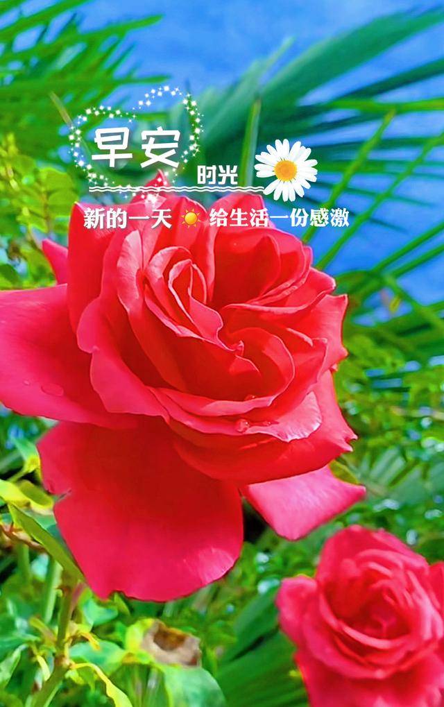 防爆振动电机 第207页